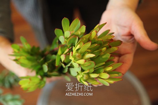 用枯木做插花花瓶的方法- www.aizhezhi.com
