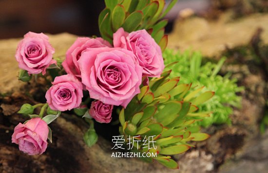 用枯木做插花花瓶的方法- www.aizhezhi.com