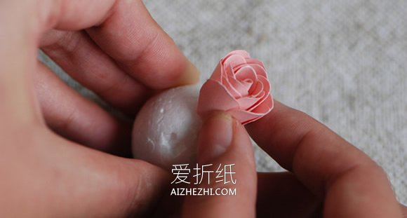 怎么用卡纸做玫瑰花球的方法教程- www.aizhezhi.com