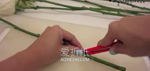 怎么利用虹吸作用做彩虹玫瑰花的方法- www.aizhezhi.com