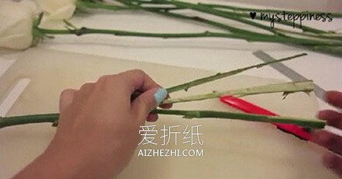 怎么利用虹吸作用做彩虹玫瑰花的方法- www.aizhezhi.com