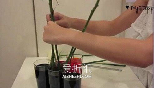 怎么利用虹吸作用做彩虹玫瑰花的方法- www.aizhezhi.com