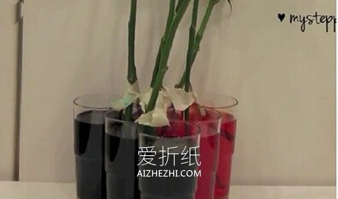 怎么利用虹吸作用做彩虹玫瑰花的方法- www.aizhezhi.com