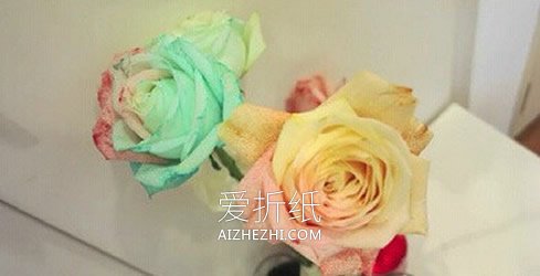怎么利用虹吸作用做彩虹玫瑰花的方法- www.aizhezhi.com