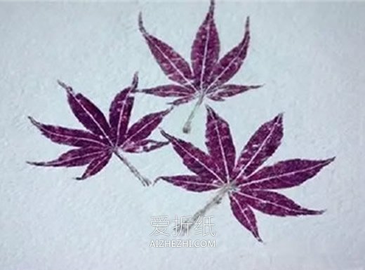 怎么用拓印画做植物图鉴的方法图鉴- www.aizhezhi.com