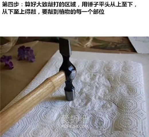 怎么用拓印画做植物图鉴的方法图鉴- www.aizhezhi.com