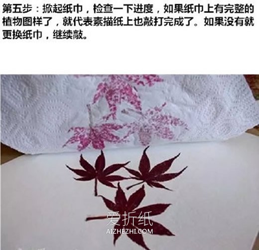 怎么用拓印画做植物图鉴的方法图鉴- www.aizhezhi.com