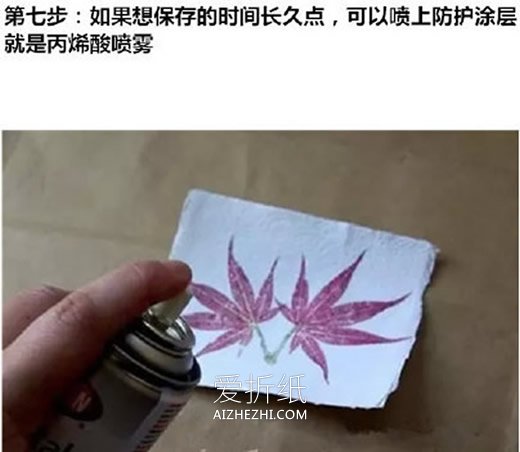 怎么用拓印画做植物图鉴的方法图鉴- www.aizhezhi.com