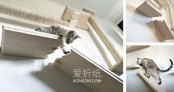 怎么做猫爬架的创意作品图片- www.aizhezhi.com