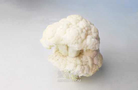 怎么用花菜做贵宾犬的方法图解- www.aizhezhi.com