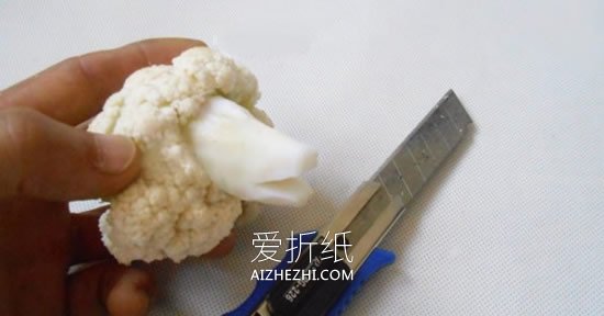 怎么用花菜做贵宾犬的方法图解- www.aizhezhi.com
