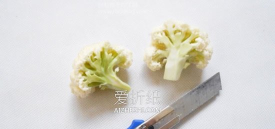 怎么用花菜做贵宾犬的方法图解- www.aizhezhi.com