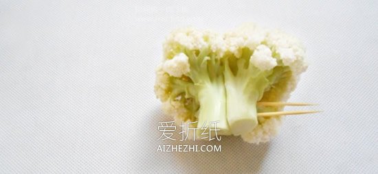 怎么用花菜做贵宾犬的方法图解- www.aizhezhi.com