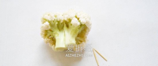 怎么用花菜做贵宾犬的方法图解- www.aizhezhi.com