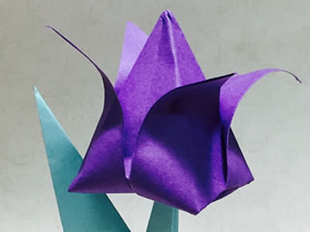 怎么折纸郁金香花和茎叶的折法图解