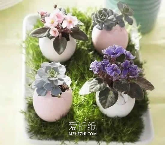 怎么用鸡蛋壳做花盆的方法图解- www.aizhezhi.com