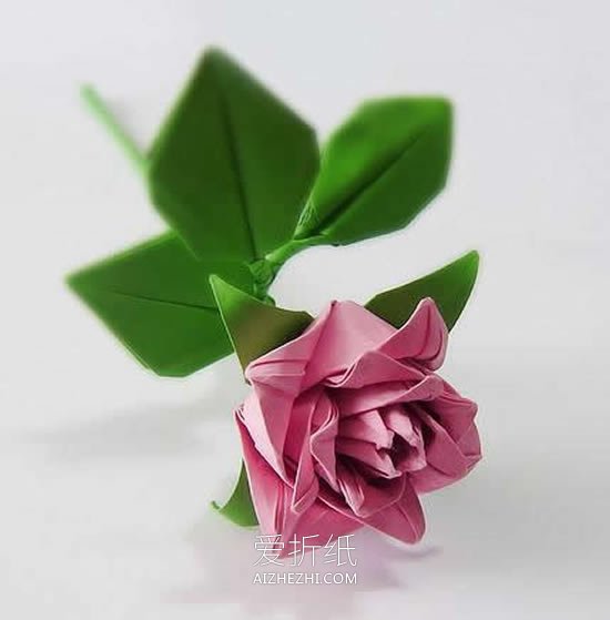 怎么折纸卷心玫瑰的折法详细步骤图解- www.aizhezhi.com