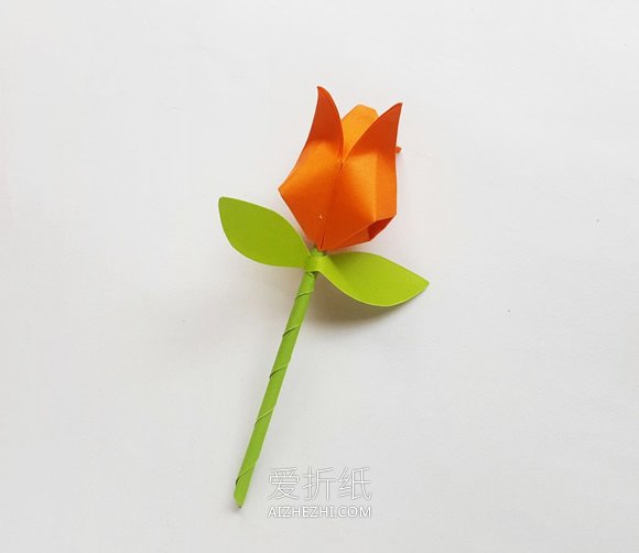 怎么折纸带花杆郁金香花的方法图解- www.aizhezhi.com