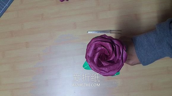 怎么折纸25瓣玫瑰罗伯特玫瑰的方法图解- www.aizhezhi.com