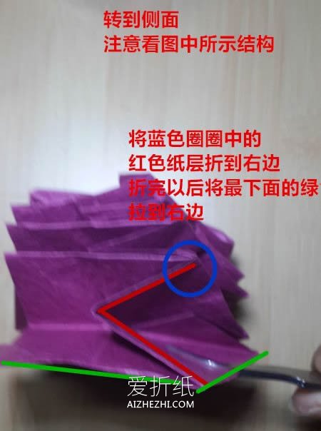 怎么折纸25瓣玫瑰罗伯特玫瑰的方法图解- www.aizhezhi.com