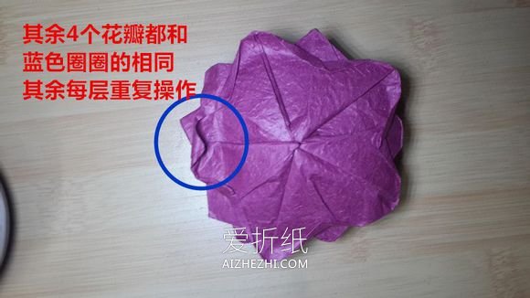 怎么折纸25瓣玫瑰罗伯特玫瑰的方法图解- www.aizhezhi.com