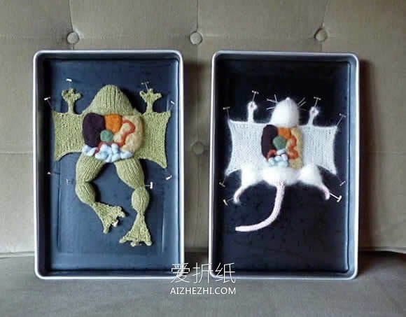 怎么用针织做动物解剖场景的作品图片- www.aizhezhi.com