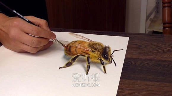 怎么画超逼真3D立体画的图片大全- www.aizhezhi.com