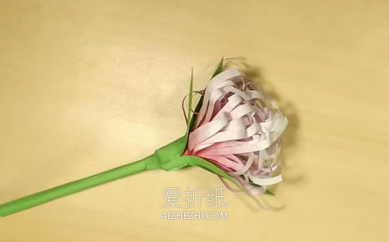 怎么做重阳节菊花小学生- www.aizhezhi.com