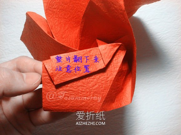 怎么折叠无格PT玫瑰折法- www.aizhezhi.com