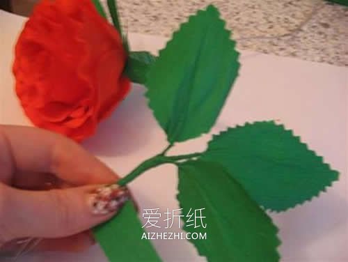 皱纹纸红玫瑰花怎么做教程- www.aizhezhi.com