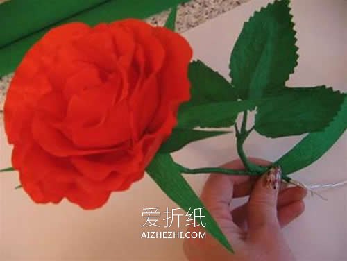 皱纹纸红玫瑰花怎么做教程- www.aizhezhi.com